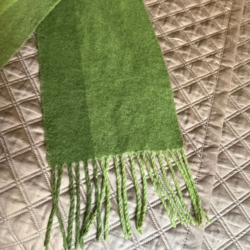 Ann Taylor Cashmere Long Scarf with Fringe with Green Ombre Wide Stripe. Unisex.